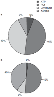 energy systems pie chart